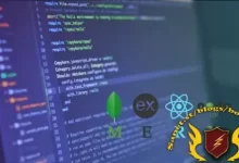 为初学者打造的MERN堆栈项目视频教程-红杏下载