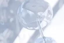 Inno1k所有预设与鼓组样本-红杏