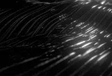 CLVR + YT循环套件-红杏破解