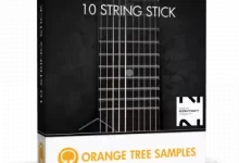 查普曼琴-红杏下载