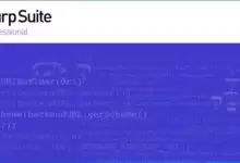 Burp Suite Professional 套件专业版-红杏破解