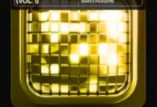 现代动感迪斯科音效-红杏下载