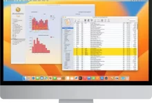 MoneyWorks Gold 财会金版-红杏下载