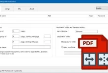 Adolix Split and Merge PDF Professional 拆分合并PDF工具-红杏破解
