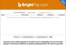 词库软件Thesaurus Software BrightPay UK Bureau英国版-红杏破解