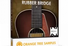 橡胶琴桥吉他-红杏下载