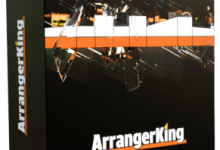 BarkingAudio ArrangerKing音频编排王-红杏破解