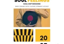 《灵魂共鸣》采样之星-红杏下载