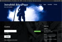 内联网旗舰版IntraWEB Ultimate-红杏下载