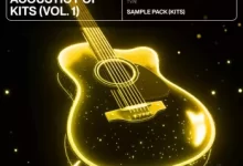 制作助手原声流行音色包 第1卷-红杏下载