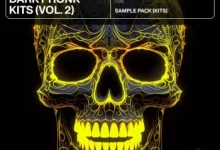 制作人助理暗黑Phonk套件第2卷-红杏下载