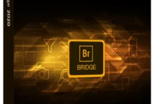 Adobe Bridge 2025 64位多语言版-红杏破解