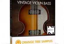 橙树采样经典小提琴贝斯-红杏下载