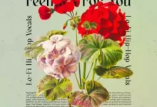 《为你倾心》Lofi人声-红杏下载