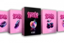 5组雷鬼墨西哥风音色库-红杏下载