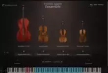 克雷莫纳四重奏合奏-红杏下载