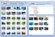 SortPix XL分类图片增强版-红杏破解