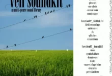 帷尔音频套装-红杏下载