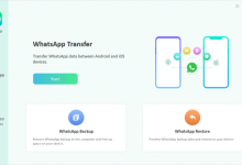 iToolab WatsGo 多语言版-红杏破解