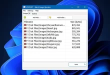 VovSoft Batch Image Upscaler 批量图像放大工具-红杏下载