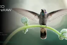 DxO PureRAW纯净RAW多语言版-红杏下载