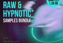 终极Raw & Hypnotic Techno采样包-红杏下载