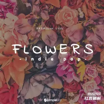 Samplestar Flowers独立流行WAV MiDi插图 Samplestar Flowers独立流行WAV MiDi插图