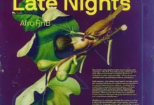 满载情感采样元素的Afro R&B音乐包-红杏下载