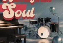 264现场乐器和复古设备制作音效包-红杏下载