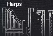 VSL维也纳交响乐 乐器-红杏下载