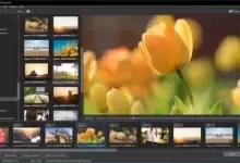 [WIN]WnSoft PTE AV Studio Pro (电子相册制作软件)-红杏下载