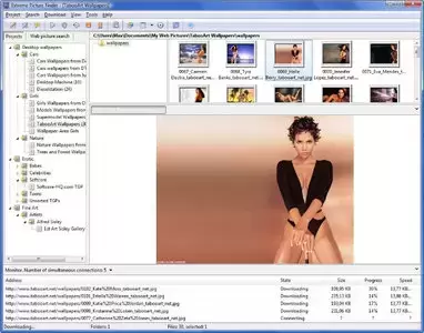 极致图片搜索器Extreme Picture Finder插图