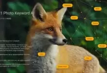 [WIN]ON1 Photo Keyword AI 2023.5 (照片管理工具)-红杏下载
