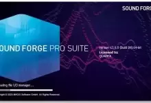 [WIN]MAGIX SOUND FORGE Pro Suite (录音和提高音质软件)-红杏下载