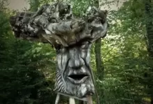 [WIN]Aescripts Bundle 1 June (AE脚本合集资源包括)-红杏下载