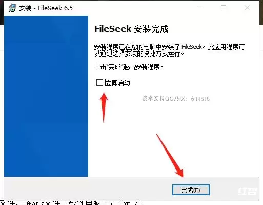 FileSeek Pro 6.1.1 Multilingual