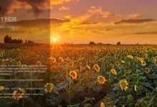 [WIN]ON1 HDR 2023.5 (HDR照片编辑软件)-红杏下载