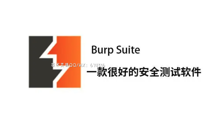 [WIN]Burp Suite Professional (安全渗透软件) 2022.12.7 特别版插图1