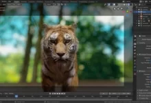 掌握 Blender 3D 与顶级插件、Unity3D 和 AI 工具教程-红杏下载