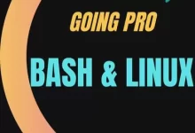 Linux和Bash：专业进阶视频教程-红杏下载