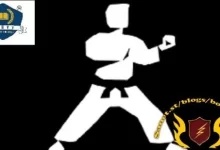 Karate Framework – API自动化视频教程 (2024)-红杏下载