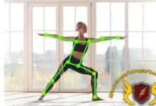 使用Mediapipe和OpenCV进行身体姿势检测视频教程-红杏下载