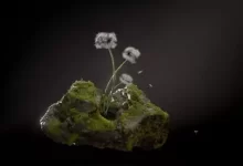 视频教程：Houdini.School – HS-223 – 艺术家数学（Divyansh Mishra）-红杏下载