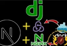 No Shortcuts指南教学：Django RestAPI's 和 Next.js 14/React-红杏下载