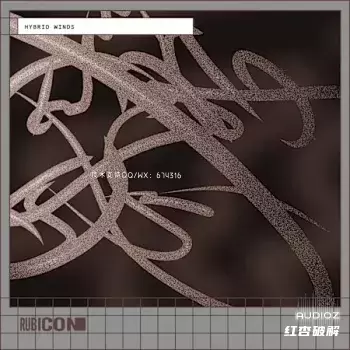 Rubicon混合风插图