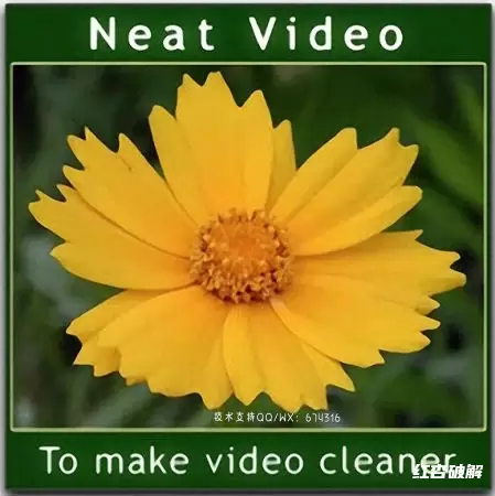 Neat Video Pro视频降噪专业版Premiere插件插图