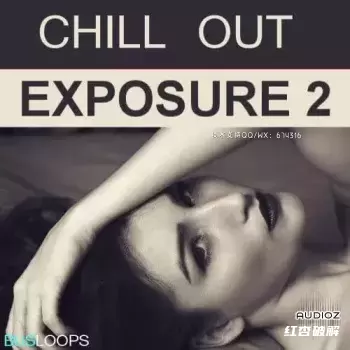 Busloops Chill Out Exposure Vol 2 WAV MiDi-FANTASTiC screenshot