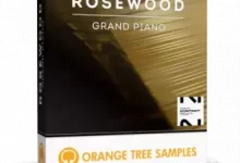 橙树样本 玫瑰木三角钢琴-红杏下载