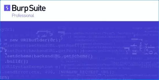 Burp Suite Professional 套件专业版插图