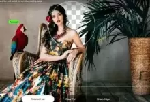 AIArty Image Matting 智能图像抠图软件-红杏下载